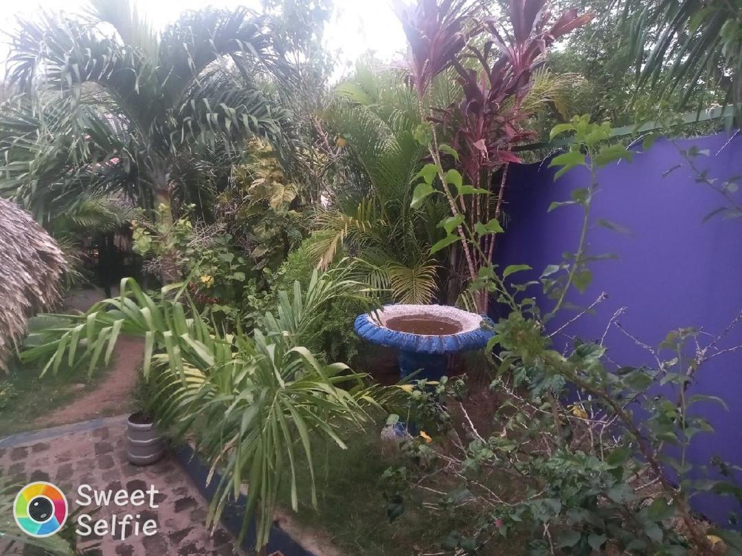 La Cascada Hostel & Restaurant リバス エクステリア 写真